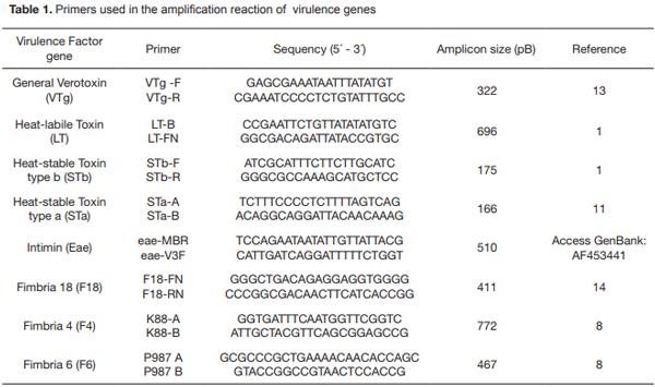 Frequency of virulence genes of Escherichia coli among newborn piglets from an intensive pig farm in Argentina - Image 1