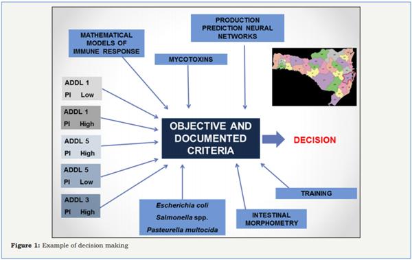 Veterinarians are Paid to Make Decisions - Image 1