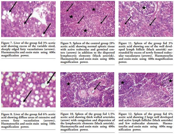 Growing and laying performance of Japanese quail fed diet supplemented with different concentrations of acetic acid - Image 11