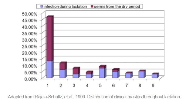 Fresh cow mastitis - Image 2
