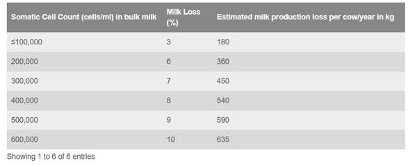 Fresh cow mastitis - Image 5