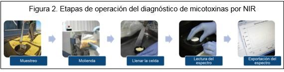 Managing mycotoxins at the speed of light - Image 2