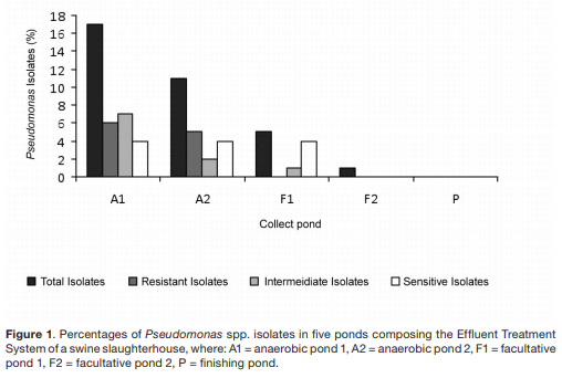 Antimicrobial susceptibility profile of Pseudomonas spp. isolated from a swine slaughterhouse in Dourados, Mato Grosso do Sul State, Brazil - Image 1