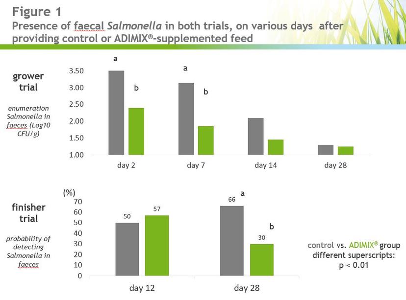 Precision delivery coated butyrate: tackling Salmonella in pigs while increasing performance - Image 1