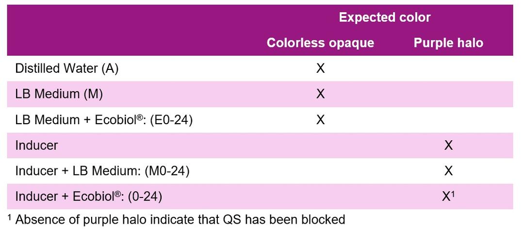 Bacillus amyloliquefaciens CECT 5940 (Ecobiol®) expresses quorum quenching activity - Image 1