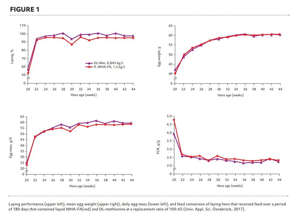 DL-methionine can replace methionine-hydroxy anlalog products in a ratio of 65:100 in laying hen fee - Image 1