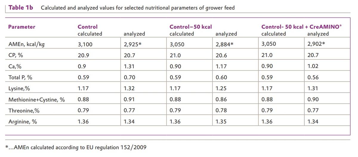 Effect of CreAMINO® in energy-reduced broilers diets – results from Russia - Image 2