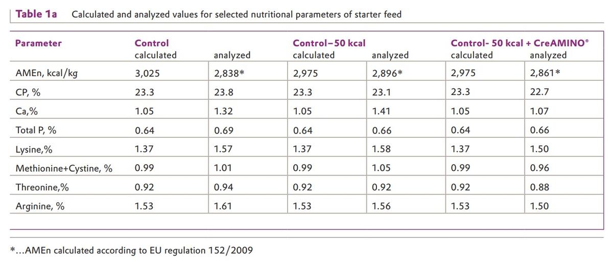 Effect of CreAMINO® in energy-reduced broilers diets – results from Russia - Image 1