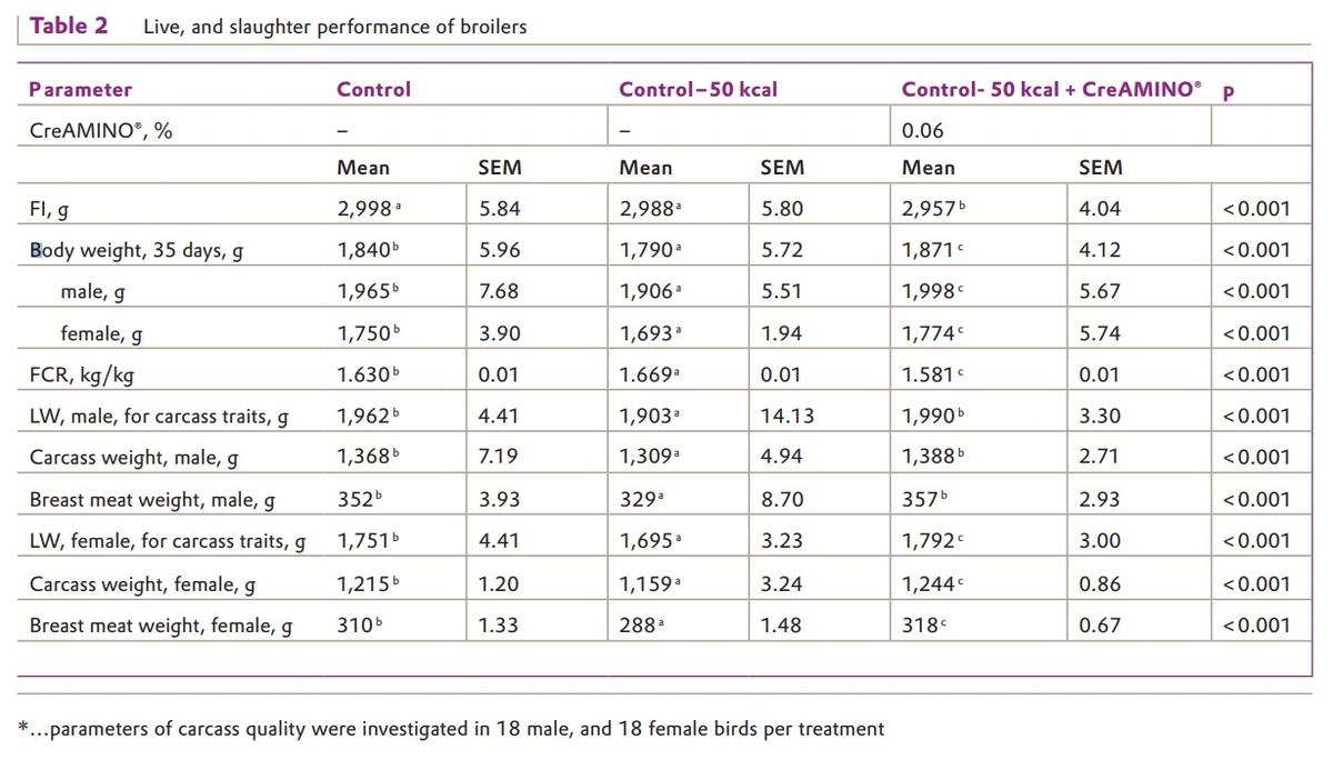 Effect of CreAMINO® in energy-reduced broilers diets – results from Russia - Image 4