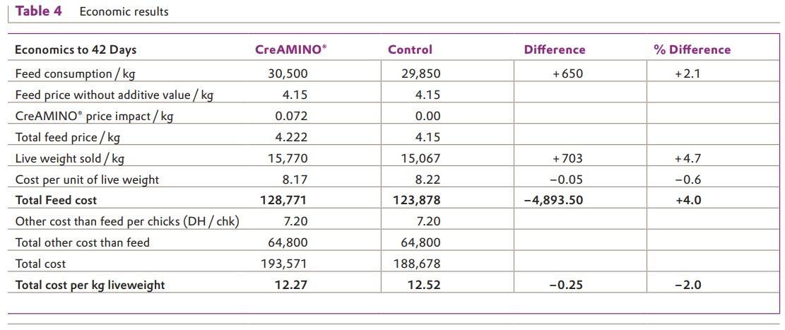 Excellent Result for CreAMINO® in Moroccan Broilers - Image 4