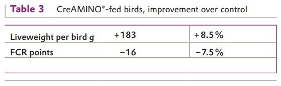 Excellent Result for CreAMINO® in Moroccan Broilers - Image 3
