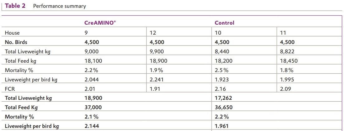 Excellent Result for CreAMINO® in Moroccan Broilers - Image 2
