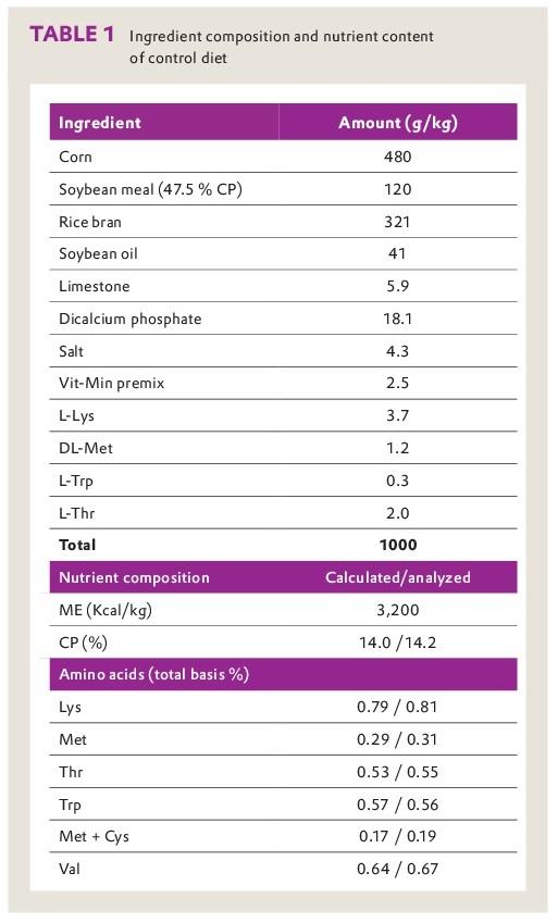 CreAMINO® improves growth performance and carcass quality of finisher pigs - Image 1
