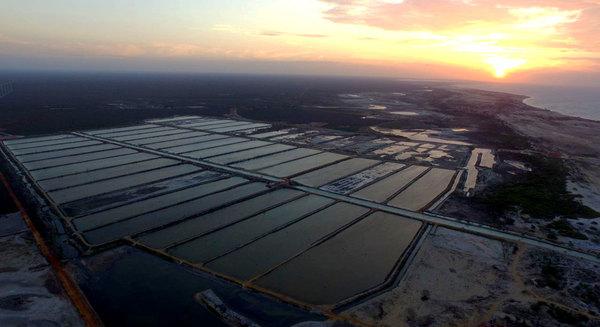 Preventive measures in aquaculture: How to better protect our crops - Image 1