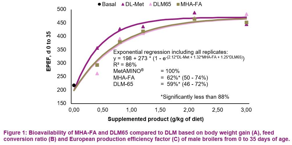 Broiler trial in the Netherlands confirms 2018 EFSA scientific opinion on methionine sources while validating the experimental approach - Image 7