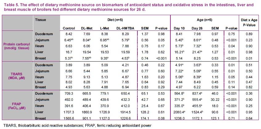 Supplemental dietary methionine sources have a neutral impact on oxidative status in broiler chickens - Image 6