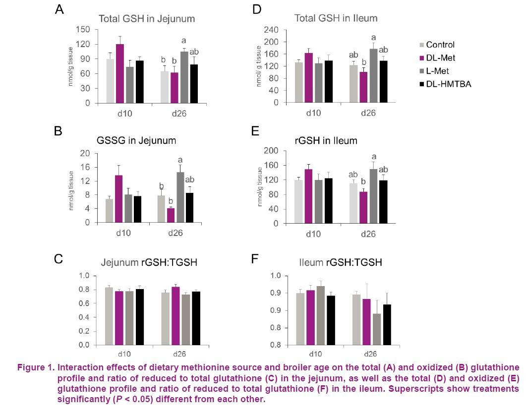 Supplemental dietary methionine sources have a neutral impact on oxidative status in broiler chickens - Image 5
