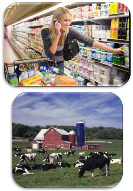 Animal Welfare and Dairy Management - Image 2