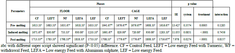 Alternative Use of Turmeric in Induce Molting on Performance of Layers - Image 12