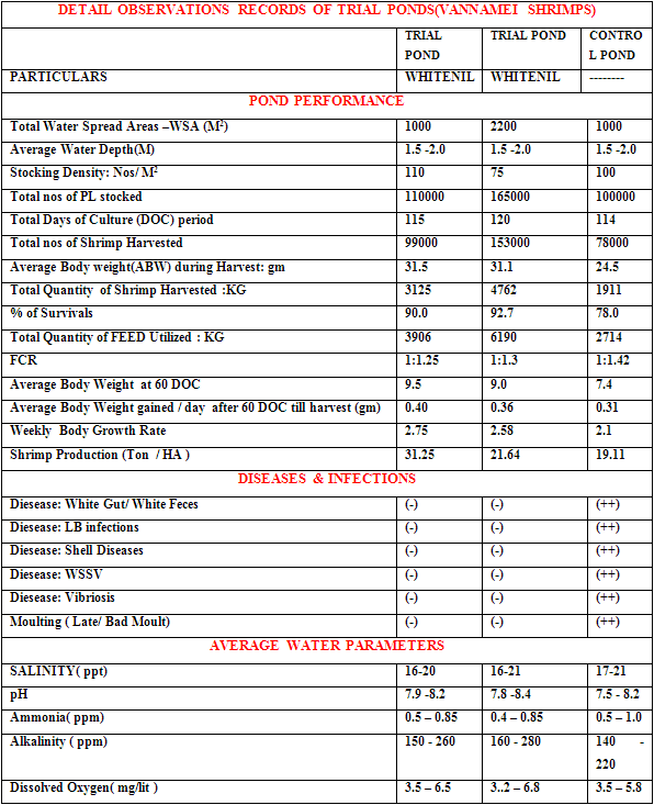 Effect of Phytobiotic Feed Additive “WHITENIL” on Production & Health Performance of Vannamei Shrimp in High Stocking Grow Out Ponds - Image 2