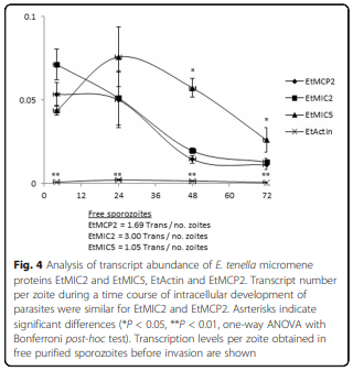 Characterization of novel microneme adhesive repeats (MAR) in Eimeria tenella - Image 8
