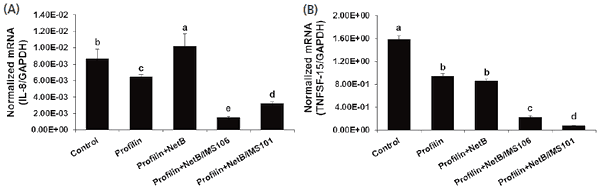 In ovo vaccination using Eimeria profilin and Clostridium perfringens NetB proteins in Montanide IMS adjuvant increases protective immunity against experimentally-induced necrotic enteritis - Image 6
