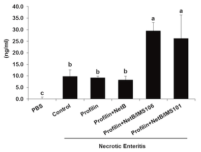 In ovo vaccination using Eimeria profilin and Clostridium perfringens NetB proteins in Montanide IMS adjuvant increases protective immunity against experimentally-induced necrotic enteritis - Image 5