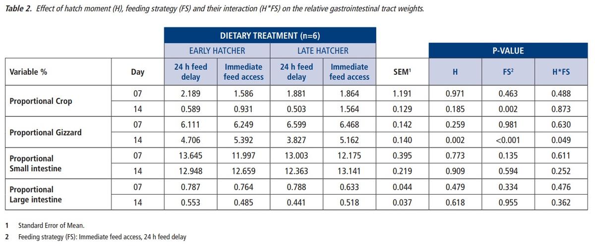 Effects of moment of hatch and early feed access with Vitalite Energy Chick on performance and histology of commercial broilers - Image 4