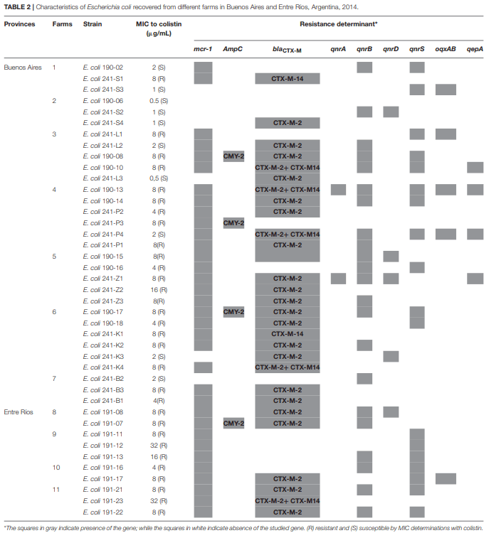 Simultaneous Carriage of mcr-1 and Other Antimicrobial Resistance Determinants in Escherichia coli From Poultry - Image 3