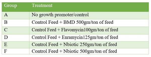 New Age Phytogenic solution to Antibiotic as growth promoter: Nbiotic - Image 2