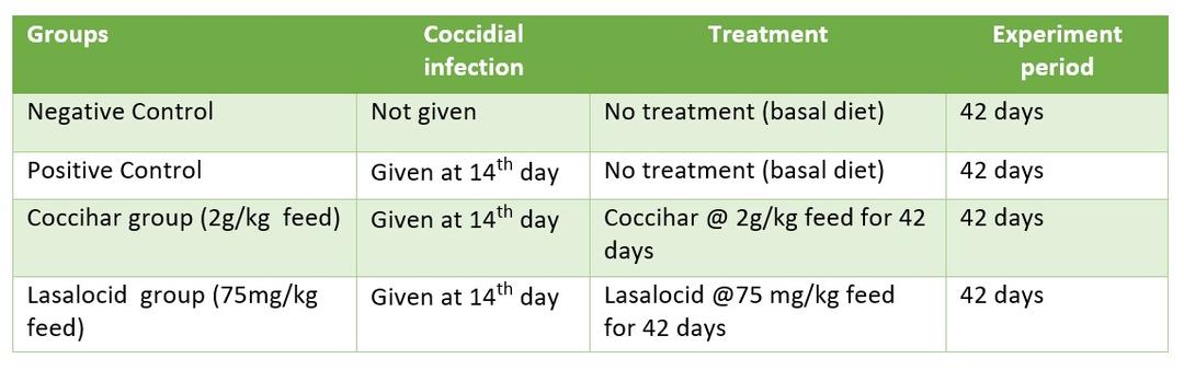 Phytogenic approach to safeguard the birds from coccidiosis - Image 3
