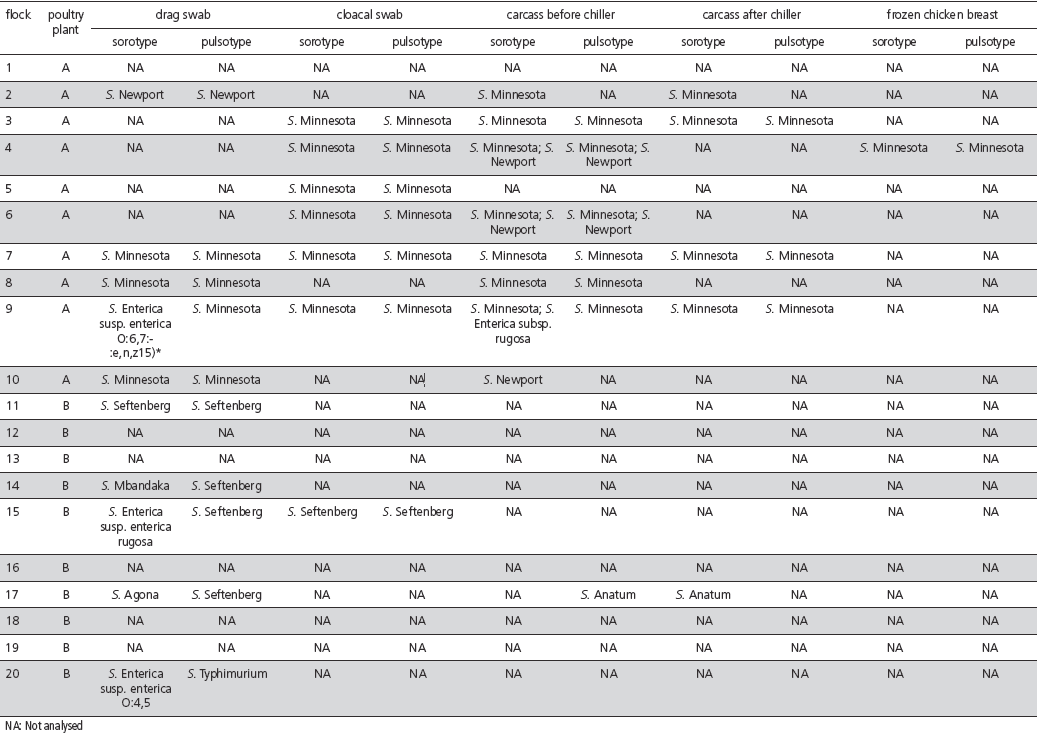 Serotyping and Genotyping of Salmonella Strains Isolated from Broilers, Chicken Carcasses Before and After Chilling, and Frozen Chicken Breasts Produced in the States of Mato Grosso do Sul and Santa Catarina, Brazil. - Image 6