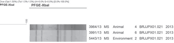 Serotyping and Genotyping of Salmonella Strains Isolated from Broilers, Chicken Carcasses Before and After Chilling, and Frozen Chicken Breasts Produced in the States of Mato Grosso do Sul and Santa Catarina, Brazil. - Image 3