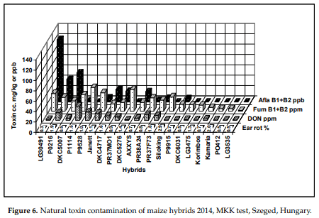 A New Concept to Secure Food Safety Standards against Fusarium Species and Aspergillus Flavus and Their Toxins in Maize - Image 15