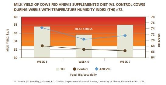 Preparation is the key to managing heat stress - Image 3