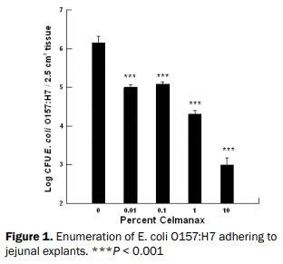 What are Refined Functional Carbohydrates (RFC™) and How Do They Promote Gut Health? - Image 1