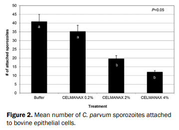 What are Refined Functional Carbohydrates (RFC™) and How Do They Promote Gut Health? - Image 2