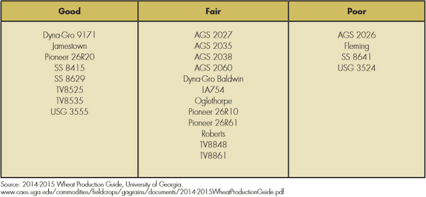 Identification and Control of Fusarium Head Blight (Scab) of Wheat in Georgia - Image 8