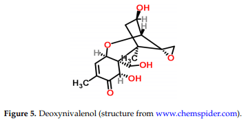 Occurrence, Toxicity, and Analysis of Major Mycotoxins in Food - Image 6