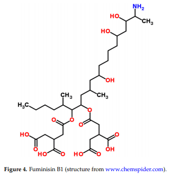 Occurrence, Toxicity, and Analysis of Major Mycotoxins in Food - Image 5
