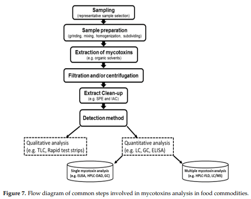 Occurrence, Toxicity, and Analysis of Major Mycotoxins in Food - Image 8