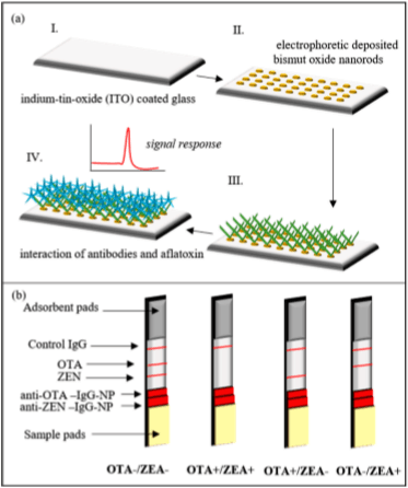 Nanoparticles as a Solution for Eliminating the Risk of Mycotoxins - Image 1
