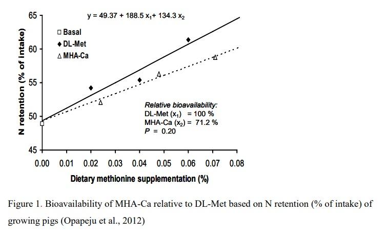 Selecting the Correct Methionine Source – A Key Index for Successful Pig Production - Image 1