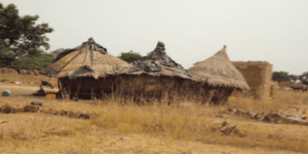 Engaging One Health for Non-Communicable Diseases in Africa: Perspective for Mycotoxins - Image 3