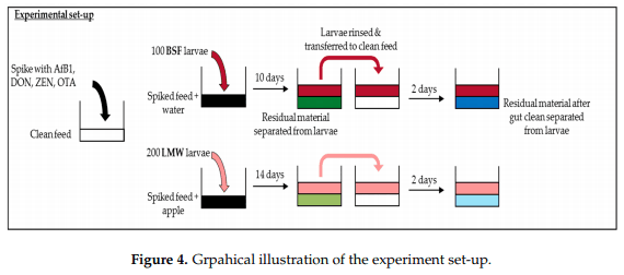 Tolerance and Excretion of the Mycotoxins Aflatoxin B1, Zearalenone, Deoxynivalenol, and Ochratoxin A by Alphitobius diaperinus and Hermetia illucens from Contaminated Substrates - Image 6