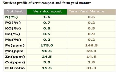 Advanced Methods of Dairy Farm Waste Disposal - Image 4
