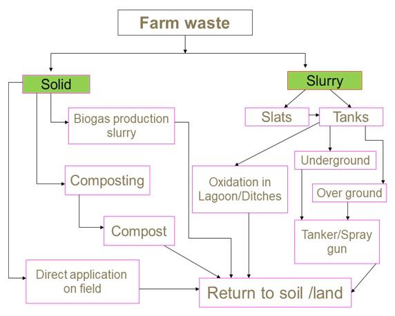 Advanced Methods of Dairy Farm Waste Disposal - Image 2