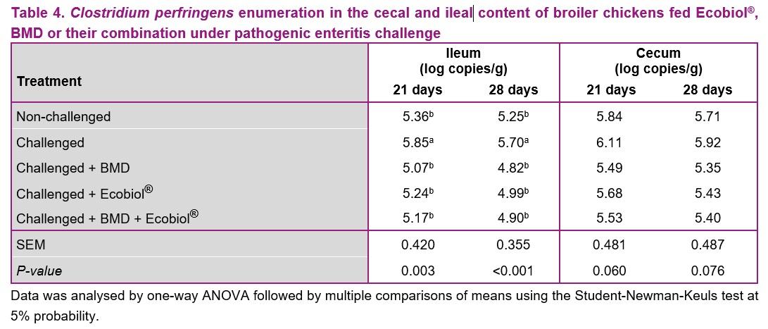 Bacillus amyloliquefaciens CECT 5940 (Ecobiol®) alone or in combination with antibiotic growth promoters improve performance in broilers under enteric pathogen challenge - Image 4