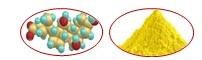Importance of Feed Additive “Bile Acid” in Shrimp Nutrition and its Functionary Properties for Sustainable Culture Practice - Image 1