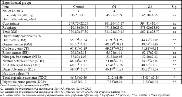 Productive performance of Barki ewes fed halophytes added with Propionibacteria freudenreichii under saline conditions - Image 2